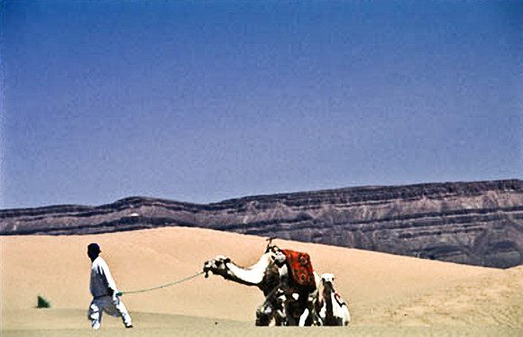 3191_SL_COLOR_TAMGROUTE_DUNES_MAROCCO_II_1998_19