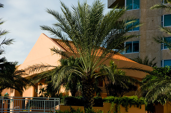 36276_DG_Color_USA_South_Beach_FL_Viceroy_BookDSC1_0050_VICEROY_PROJECT_MIAMI_BEACH_FL