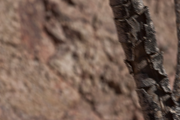 0031_La_Arizona_5L8Y5569