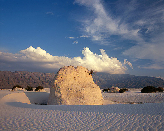 4000_20080719_ADS_Mexican_Landscape_Mexico_132