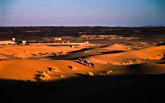 3215_SL_COLOR_MERZOUGA_MAROCCO_II_1998_3