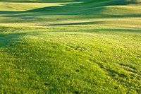0031_La_Arizona_5L8Y5086
