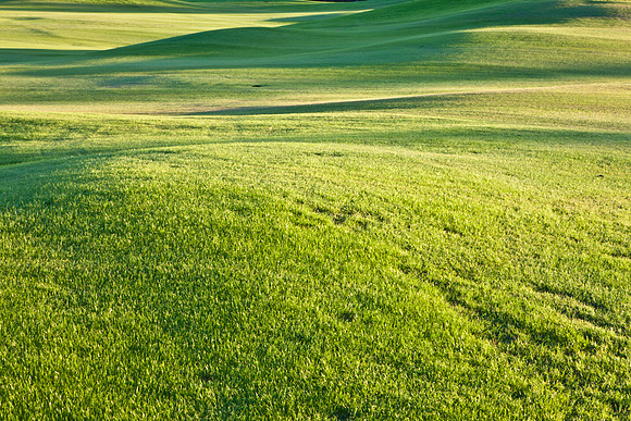 0031_La_Arizona_5L8Y5086