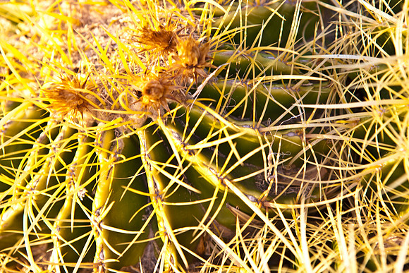 0031_La_Arizona_5L8Y5097