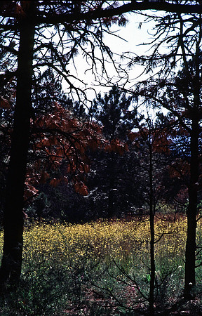 37870_B15_SL_COLOR_TAOS_TO_EMBUDA_TO_BANDELIER_NM_97_12.jpg