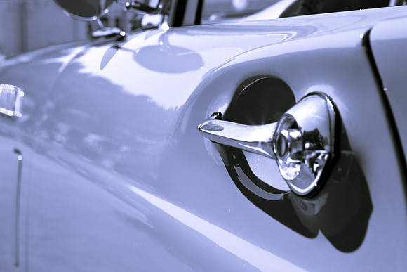 0026_DG_Mill_Valley_CA_USA_2009_5L8Y1792