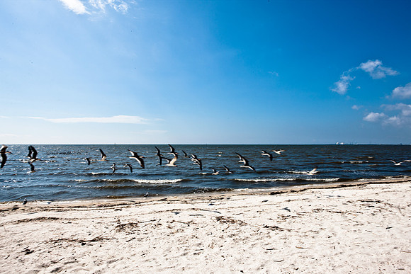 0036-NEW_ORLEANS_TO_PANAMA_CITY_BEACH_5L8Y1181