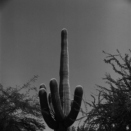 6021_FM_BW_GRAND_CANYON_AZ_05_9.jpg