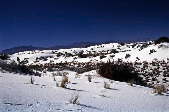 47895_B16_SL_COLOR_LA_MESILLA0_TO_WHITE_SOUNDS_NAT_MNY_HWY20_NM_97_3313.jpg