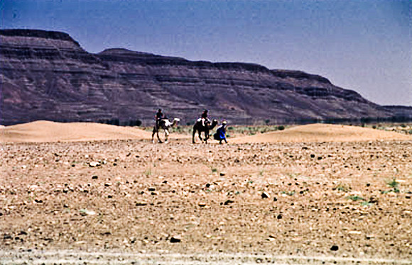 3191_SL_COLOR_TAMGROUTE_DUNES_MAROCCO_II_1998