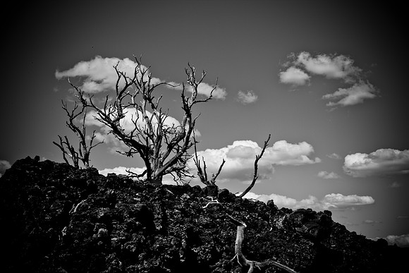 0020_Wyonming_To_Ketchem_Sun_Valley_ID_5L8Y7791