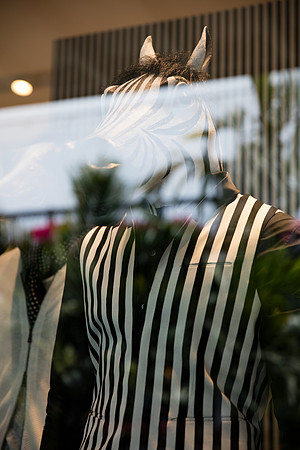 20160417_Mannequins_and_Windows_075A0080