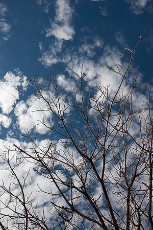 20081019_DVD63_DG_USA_Santa_Fe_NM_5L8Y8446_full_blead