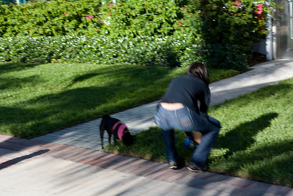 36136_DG_Color_USA_Miami_Beach_FL_Related_GroupZV4N0477