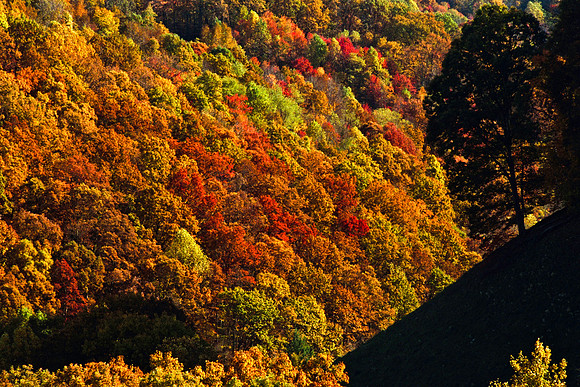 0258_FM_COLOR_MINESOTA_99_73.jpg