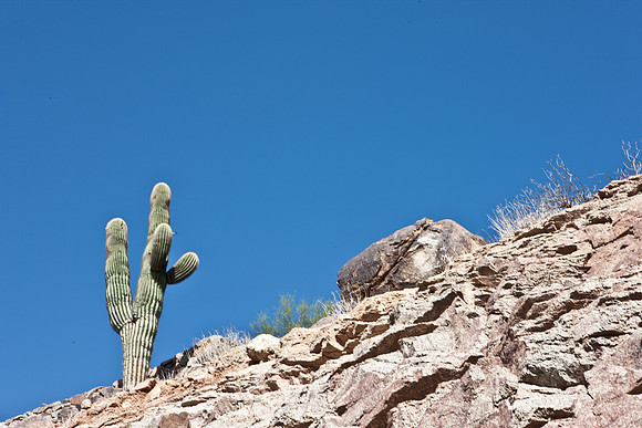 0031_La_Arizona_5L8Y5501