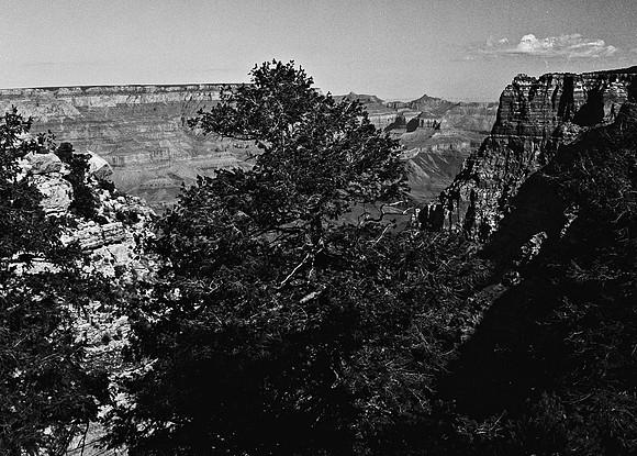 6135_FM_COLOR_SQ_SEDONA_AZ_05.jpg