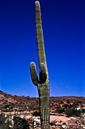 47805_B13_SL_COLOR_ROUTE_66_AZ_97_9.jpg