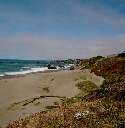 6028_FILM_COLOR_PACIFIC_HIGHWAY_LR_USA_CA_05_2.jpg
