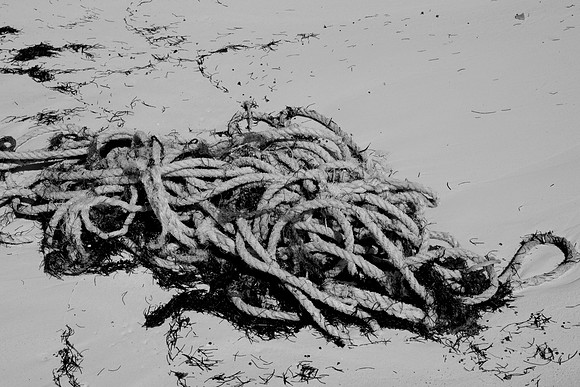 36168_DG_BW_USA_Harbour_Island_Bahamas_Related_GroupZV4N2077