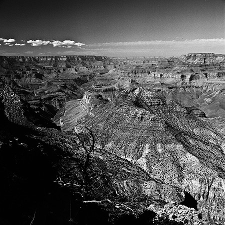 6123_FM_BW_GRAND_CANYON_AZ_05_11.jpg