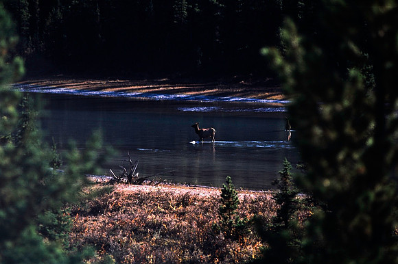 06835_B19_SL_COLOR_ATHABASCA_FALLS_ONE_OF_JASPER_NAT_PARK_BC_WS_97_14.jpg