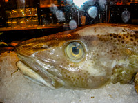 20060624_Rhoad_Island_DSC06083