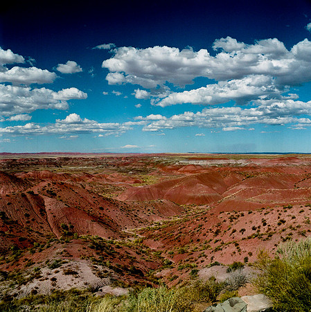 6142_COLOR_SQ_PAINTED_DESERT_AZ_USA_05_5.JPG
