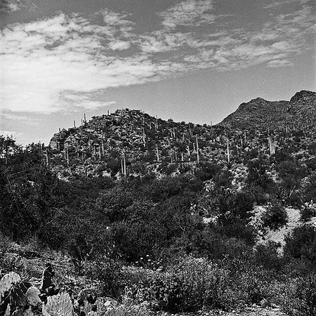 6021_FM_BW_GRAND_CANYON_AZ_05_5.jpg