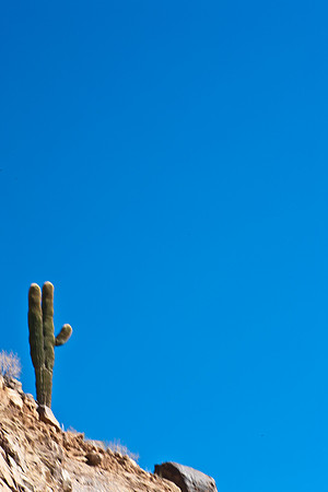 0031_La_Arizona_5L8Y5476