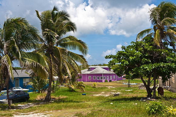 3876_DG_Cayman_Island_Caribbean_ZV4N0600