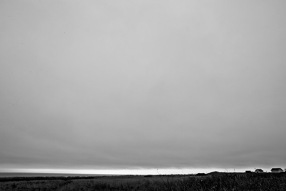 5L8Y0580