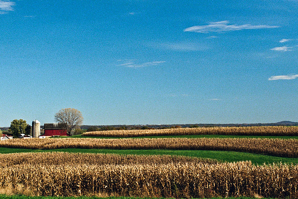 0337_FM_COLOR_MINESOTA_99_73.jpg