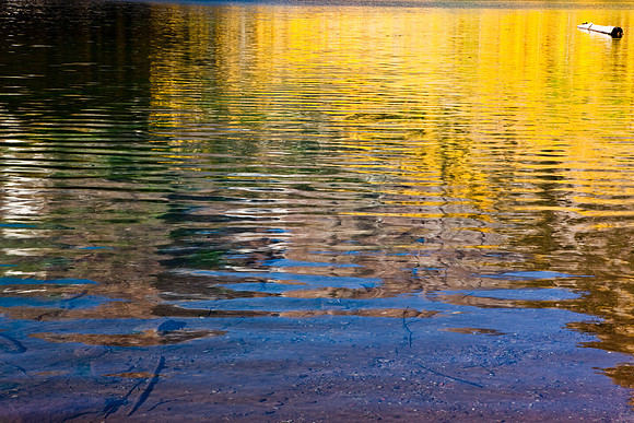 20080831_DVD18_DG_Aspen_2918_full_blead