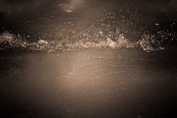 85766_FL_DG_IMG_2813