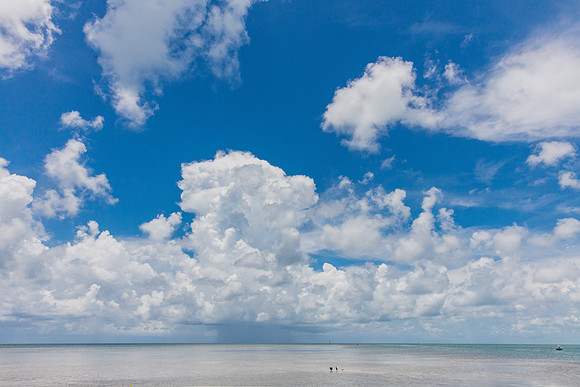 20160714_Key_West_Little_Palm__75A0627