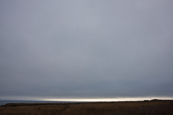 5L8Y0557