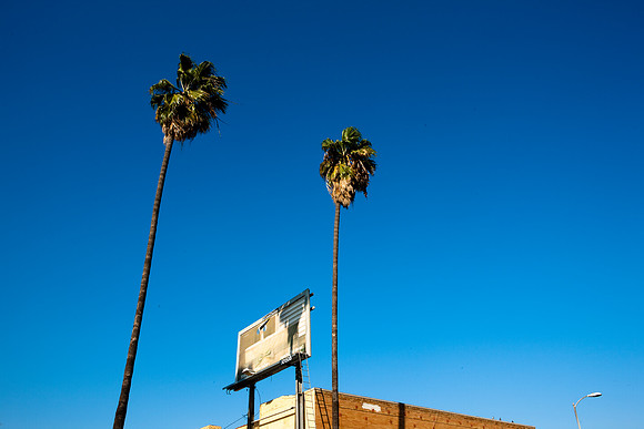 20080911_DVD40_DG_USA_LA_CA_5L8Y7738_full_blead
