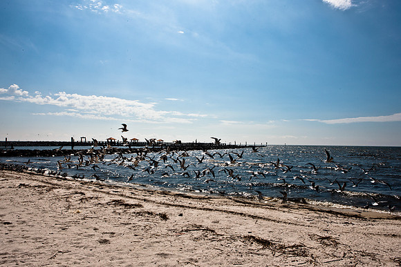 0036-NEW_ORLEANS_TO_PANAMA_CITY_BEACH_5L8Y1183
