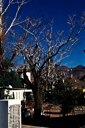 47805_B13_SL_COLOR_ROUTE_66_AZ_97_12.jpg