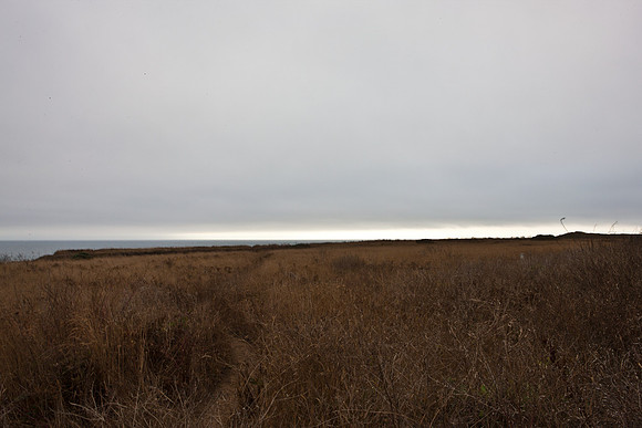 5L8Y0559