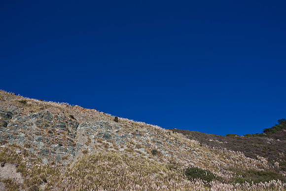 20080904_DVD25_DG_USA_Los_Olivos_CA_4888_full_blead