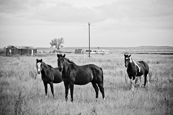 0044_North_Dacota_Fargo_to_South_Rapid_City_TO_CHEYENNE_5L8Y4152