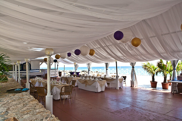 3876_DG_Cayman_Island_Caribbean_ZV4N0405