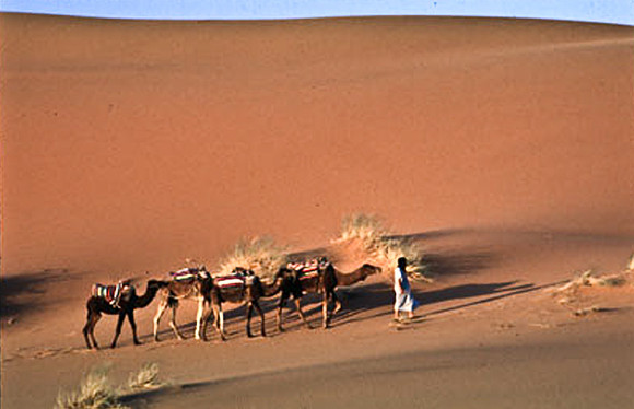 3208_SL_COLOR_MERZOUGA_SHAHARA_MAROCCO_II_1998_14