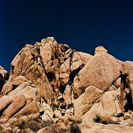 2334_FM_COLOR_JOSHUA_TREE_CA_02_3.jpg