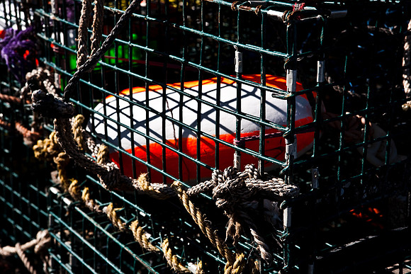 06596_DG_COLOR_BASS_HARBOR_MAINE_ME_USA_ZV4N_192_06