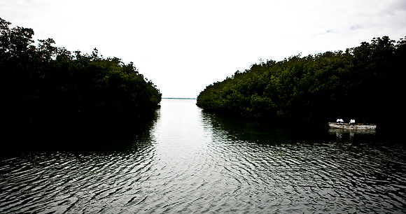 20090309-Everglades_Natasha_DA_Miami_FL_5L8Y2435
