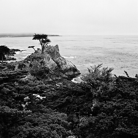 2367_FM_BW_CARMEL_CA_02_10.jpg