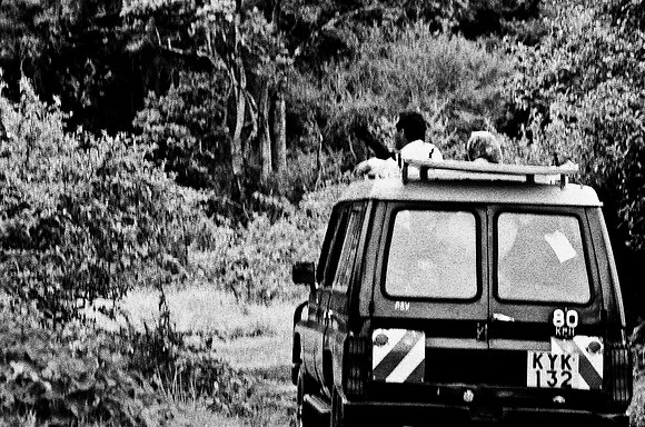 B3_82001_BW_194_New_Safari_Lion_Track_Africa_89_1
